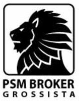 logo PSM BROKER.gif